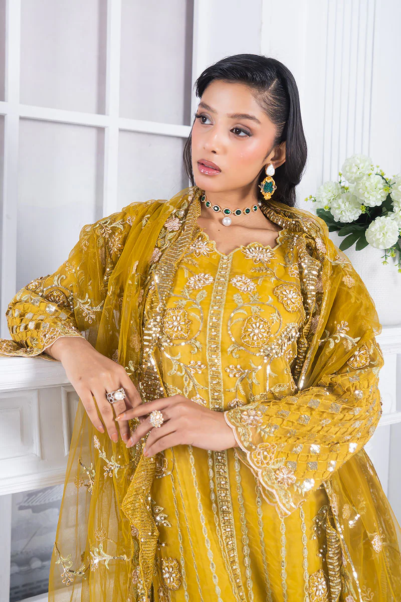 Motif Organza Embroidered Suit-361 - Image 2