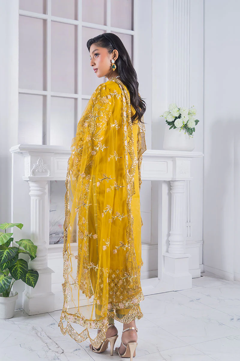 Motif Organza Embroidered Suit-361 - Image 7